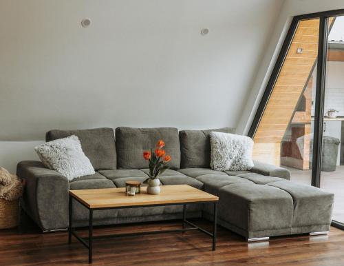 Cabana Serenity - A-frame in Kotenesti