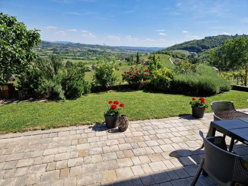 A környék, Holiday Home Vinea View - 4 Thermal Spas Nearby in Bizeljsko