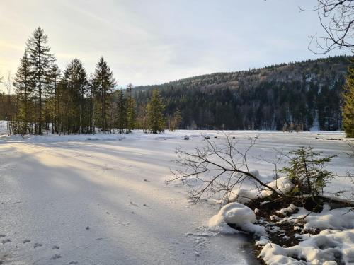 Sports un aktivitātes, Le Renard des Vosges in La Croix-aux-Mines
