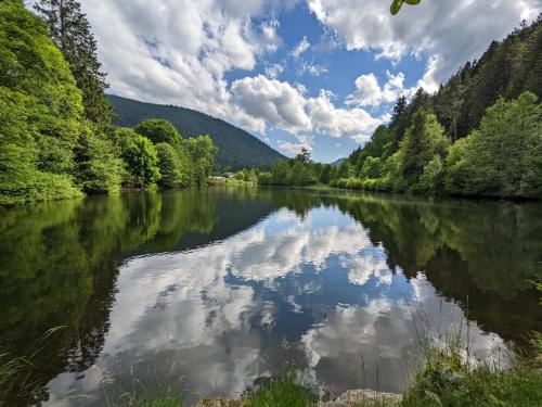 Sports un aktivitātes, Le Renard des Vosges in La Croix-aux-Mines