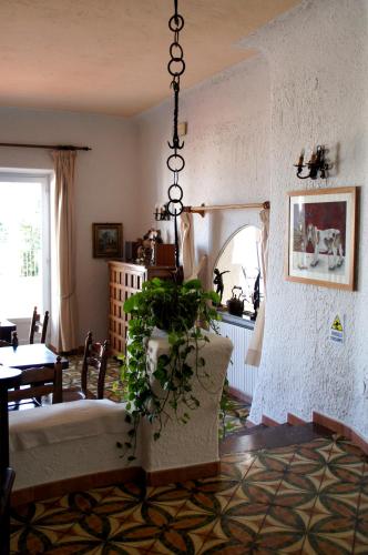 Hotel Don Pedro - image 14