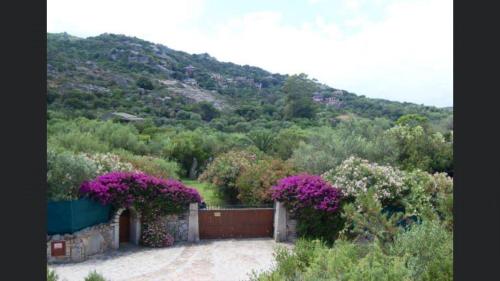 2 bedrooms villa with sea view shared pool and furnished garden at Porto Rotondo 2 km away from the beach