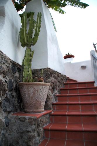 Hotel Don Pedro - image 2