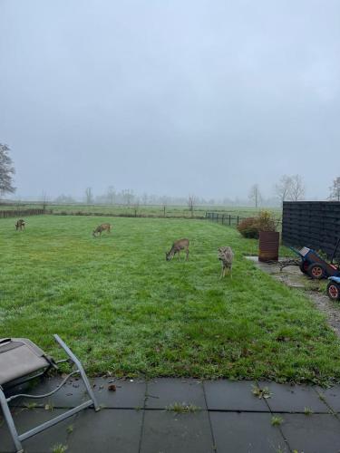 Alrededores, Blokhut Klein Meerzicht in Haren