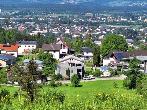 Wohnung Rheintal im Alpenvorland