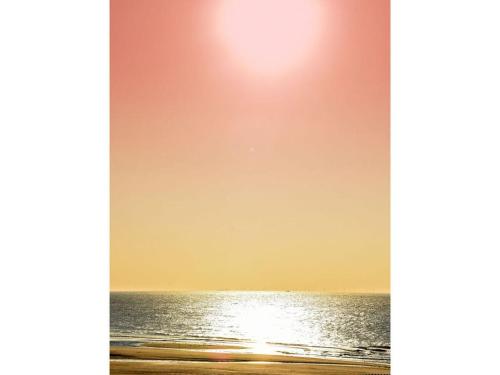 المرافق, De 4 biggetjes Biggekerke in Biggekerke