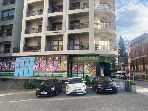 Home № 1, Kutaisi (fotografie 5)