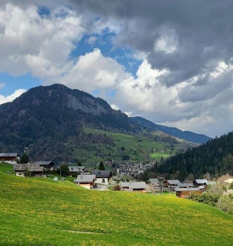 Chalet Savoyard - Location, gîte - Saint-Nicolas-la-Chapelle