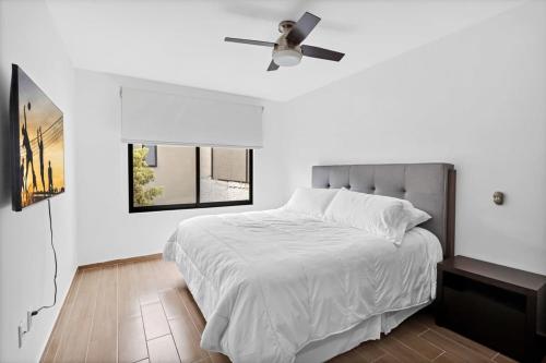 Ms Magnifica Suite Ubicadisima 119B in Casa Blanca La Corregidora, Mexico