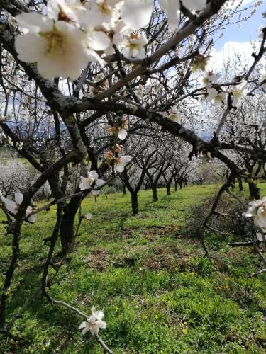 Agriturismo Vemi