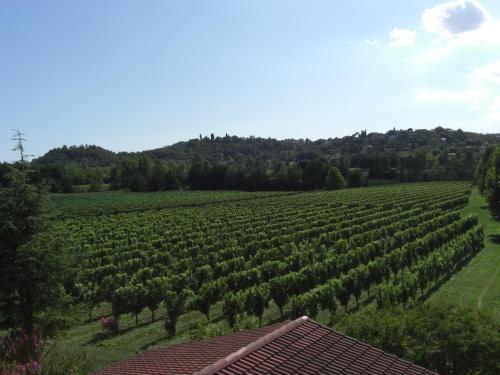  Il Vigneto Affittacamere in Manerba del Garda
