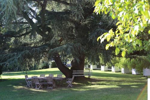 Garden, Beau chateau dans le Cantal au coeur du Pays Vert in Jussac