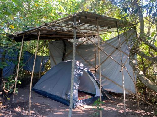 Camping Permacultural Filhos da Floresta