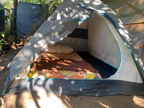 Camping Permacultural Filhos da Floresta