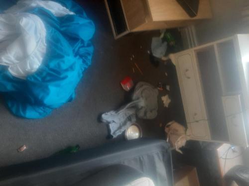 Intrepid Bed and Breakfast Christchurch