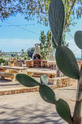 Casa Vacanze Amata - Leuca - image 12