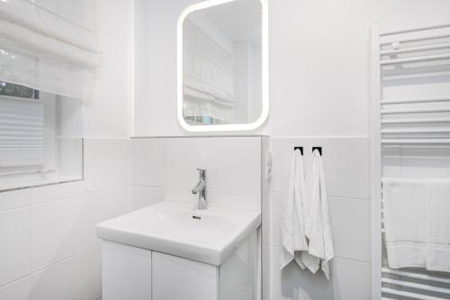 Apartment with Terrace image 6