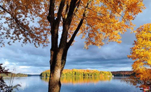 Muskoka Escape