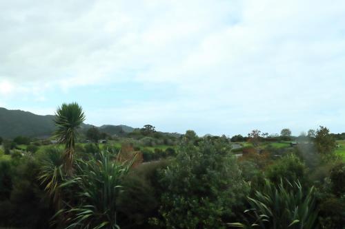 The Stargazer - Mangawhai Heads Holiday Home