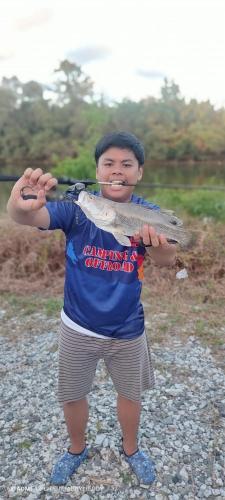 Surrounding environment, Qimmy Riverside Guesthouse in Kedai Buluh