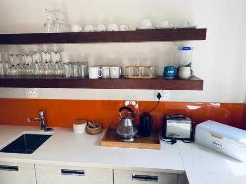 Shametu @ Sea in Rand Rifles