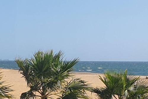 Sunset Sails 2 in Rand Rifles