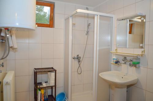 One-Bedroom Apartment image 2