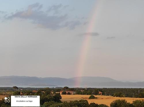 Casa nuova tra Umbria e Toscana con vista lago - Apartment - Castiglione del Lago