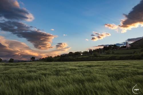 Maisonnette de campagne proche du lac du Salagou in Brenas