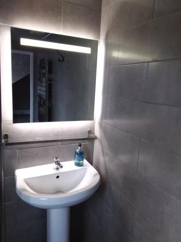 Braveheart Guest House - image 7