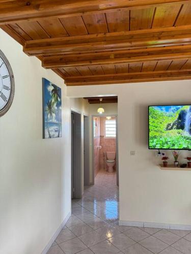 Le Volcan - Piscine - DODOTERLA in Sainte Rose