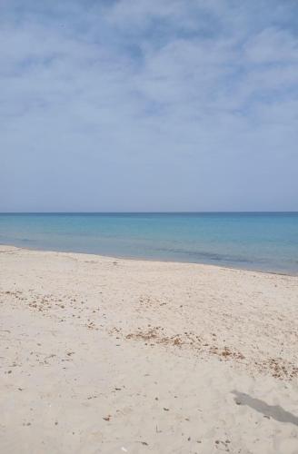 Bel Appartement au front de la mer