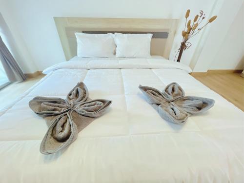 Cozy Owls Chiang Mai, Chiang Mai