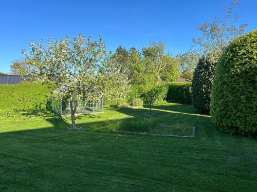 Garden, Kokhaven 23 in Sonderballe