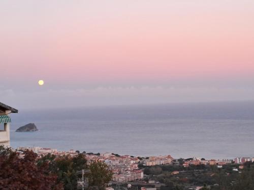 AnteMARE, Noli (foto 3)