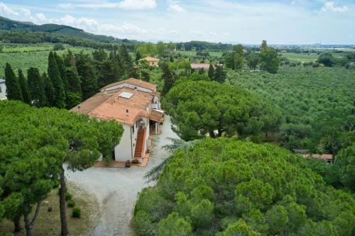 Antichi Palmenti - Mirto