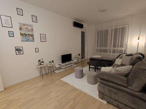 One-Bedroom Apartment image 10