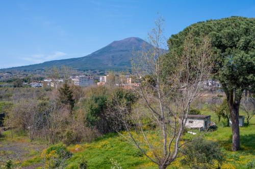 Residenze Vesuviane - Pompei in Терциньйо