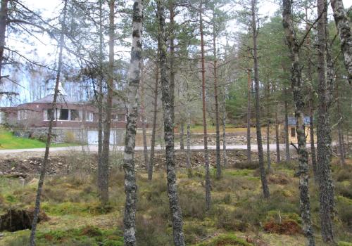 Cairngorm Lodge Rothiemurchus