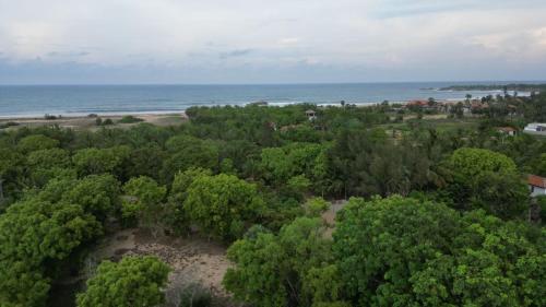 Ocean View Cabana