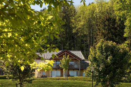 Appartement-Chalet avec Terrasse - Vue Lac