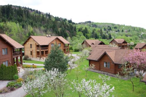 TAOR Karpaty Resort & Spa - Hotel - Skhidnitsa