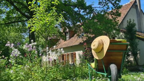 Au jardin de Grand-Père