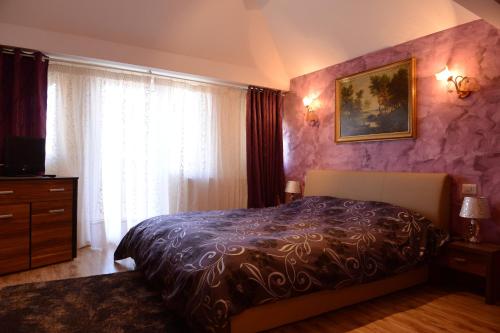 Vila Perla Sapanteana - image 4