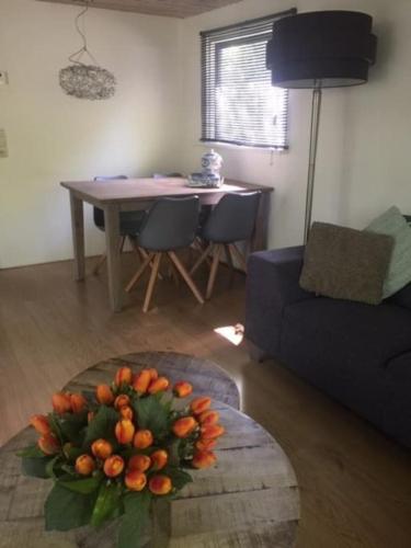 Veluws Chalet Putten in พุดเทน