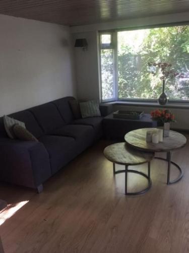 Veluws Chalet Putten in พุดเทน