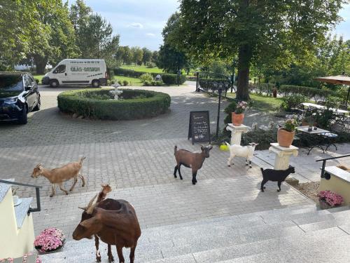 Großes Familienapartment mitten in der Natur in Neu Gaarz