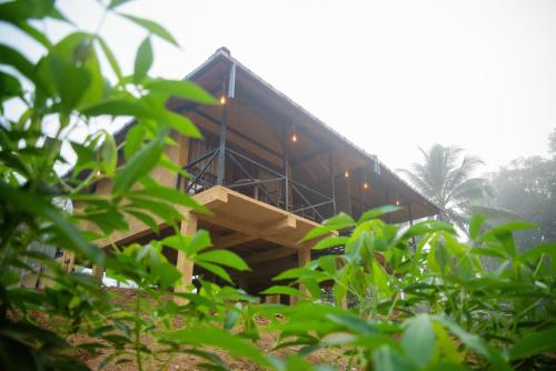 Garden, Sinharaja Riverside in Kotapola