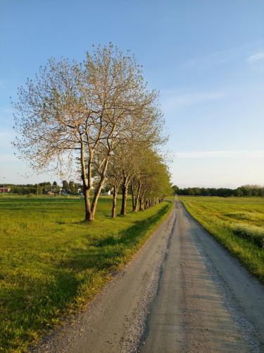 A környék, Tjøtta Gjestegaard near Sandnessjøen repülőtér