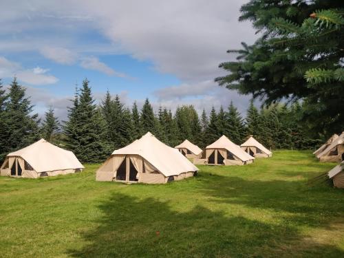 Godaland Glamping